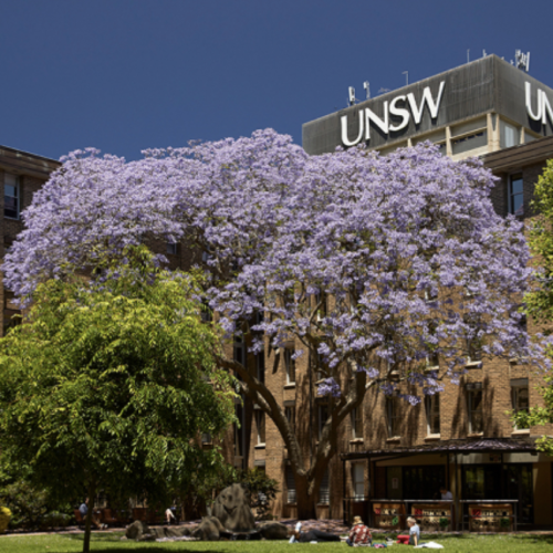 unsw building