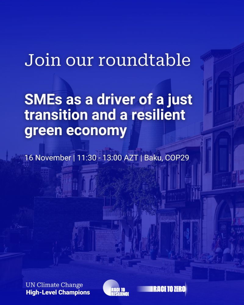 COP29 SME roundtable