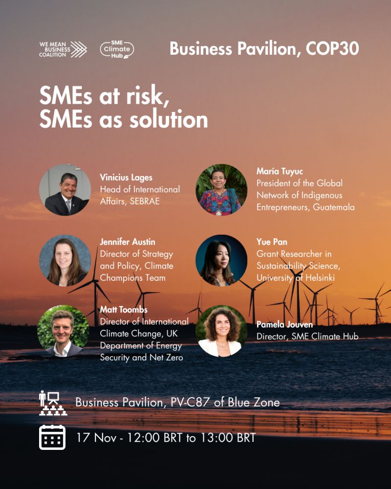 SMEs at Risk SMEs as solution tile