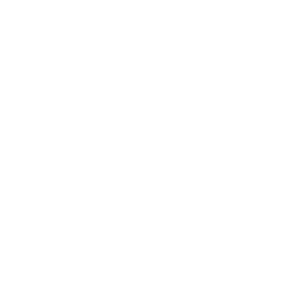 Southampton uni logo white
