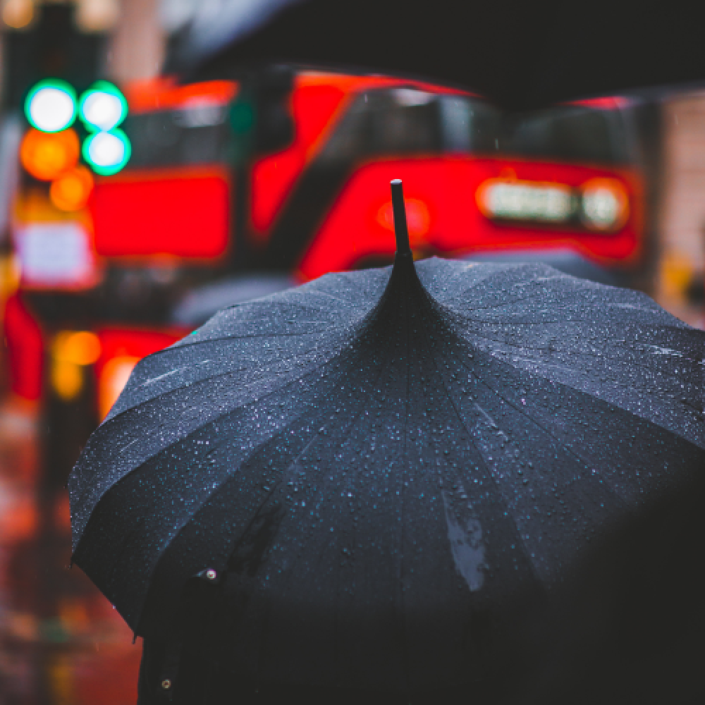 person with a black umbrella in the city in the rain