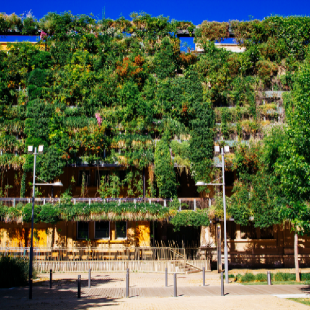 Sustainable - green - building design in Kenya