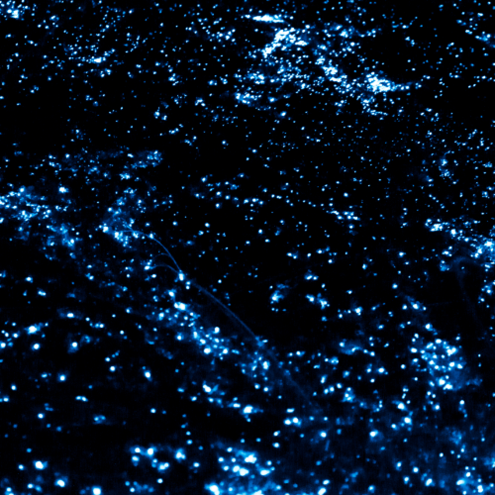 bioluminescence plankton