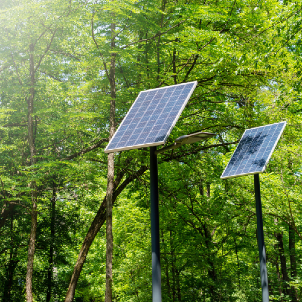 solar panel trees image