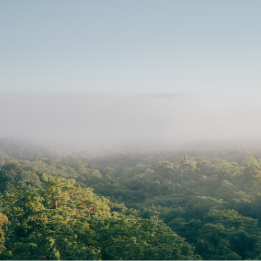 foggy mountains