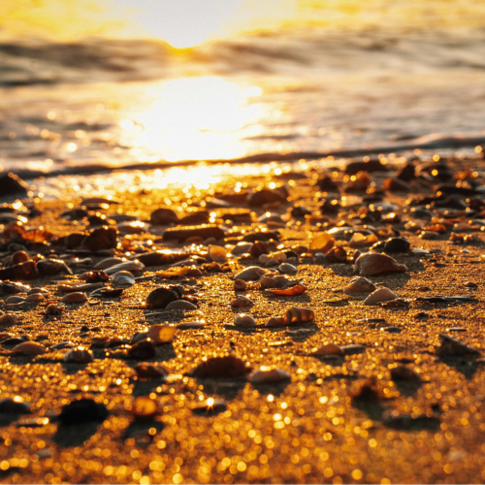 Sunset Auckland Beach