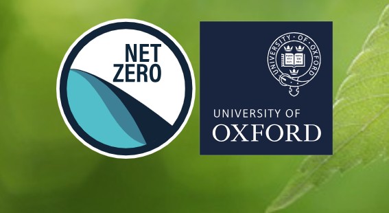 Oxford Net Zero